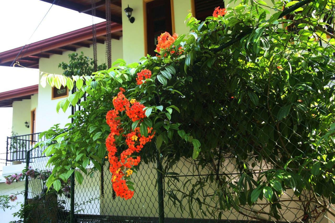 The Springfields Kandy Previously Madara Residence Kandy Luaran gambar
